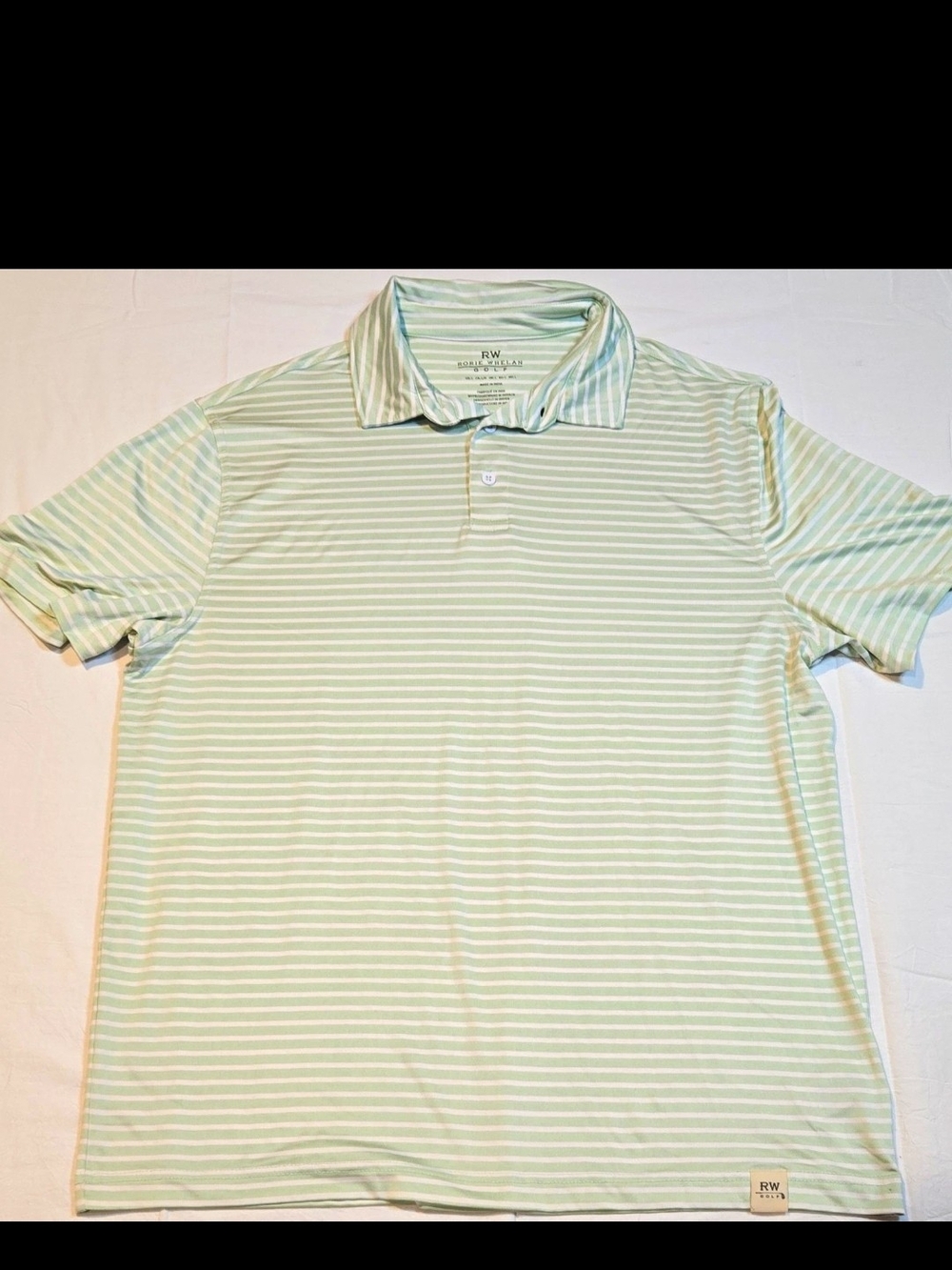 RW Striped Mint Polo Shirt for Men